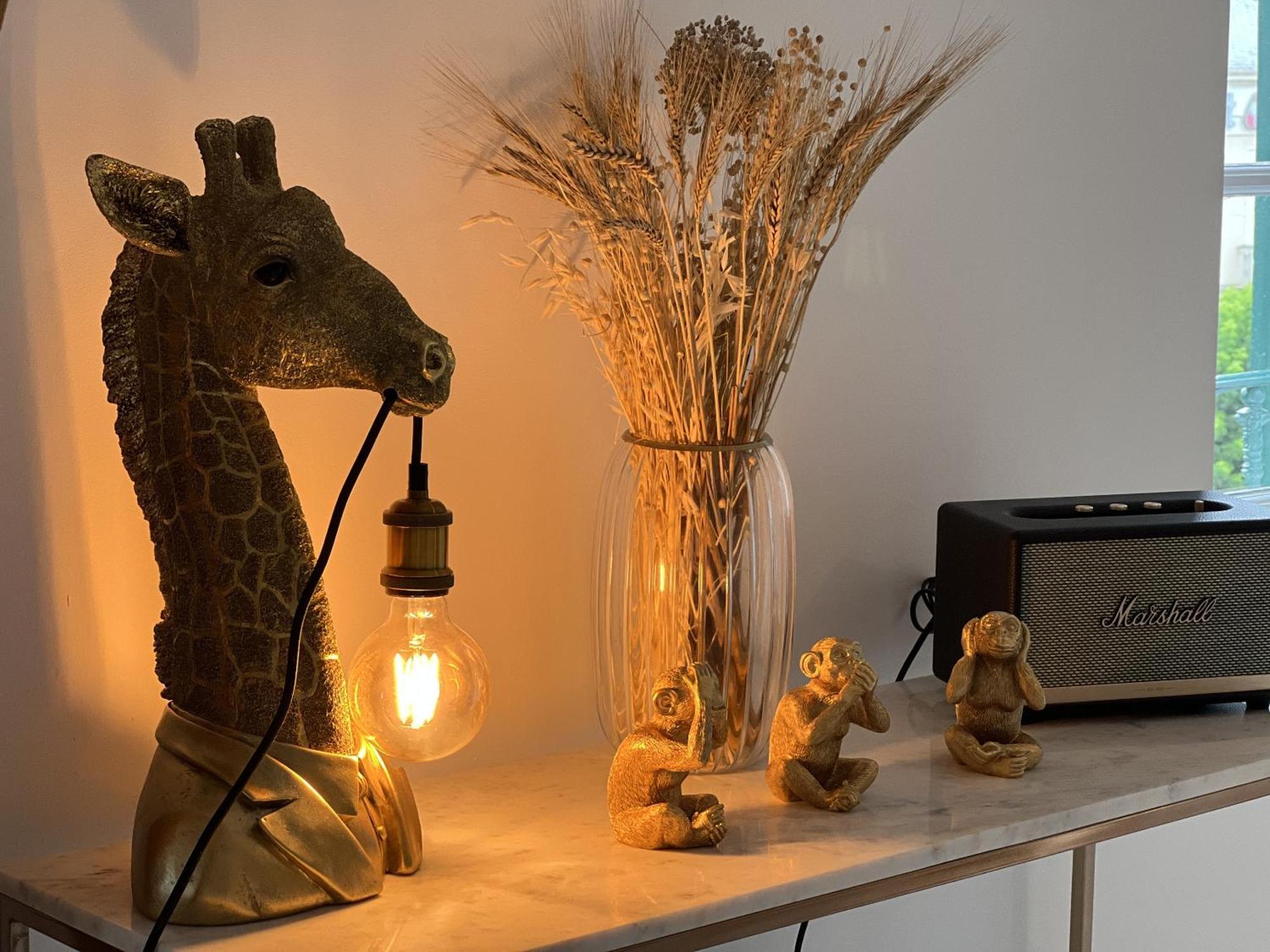 Le Loft De Babolene Apartment Villefranche-de-Rouergue Luaran gambar